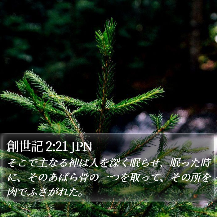 創世記 2:21 JPN Bible Study