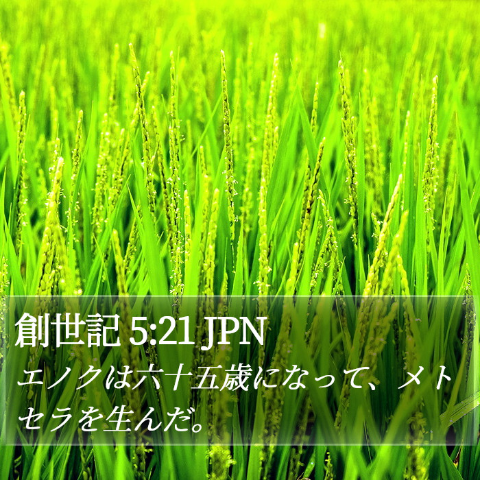 創世記 5:21 JPN Bible Study