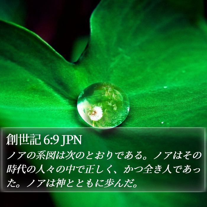 創世記 6:9 JPN Bible Study