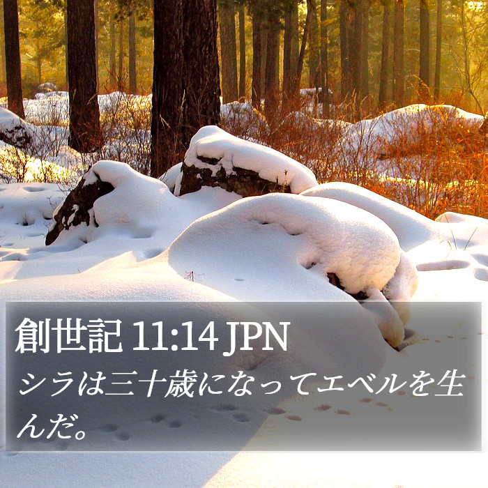 創世記 11:14 JPN Bible Study