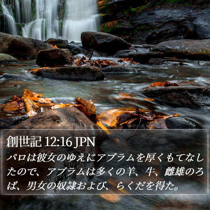 創世記 12:16 JPN Bible Study