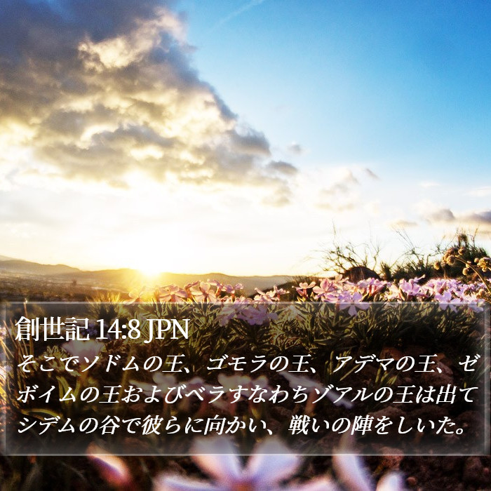 創世記 14:8 JPN Bible Study