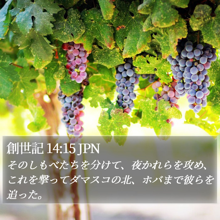 創世記 14:15 JPN Bible Study