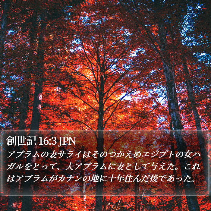 創世記 16:3 JPN Bible Study