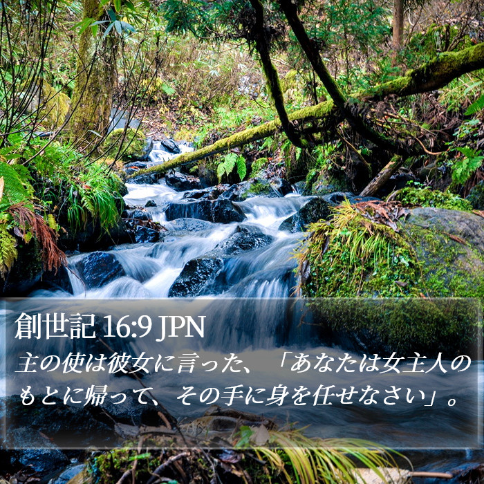 創世記 16:9 JPN Bible Study