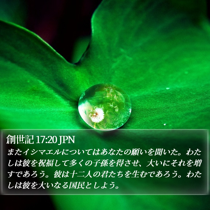 創世記 17:20 JPN Bible Study