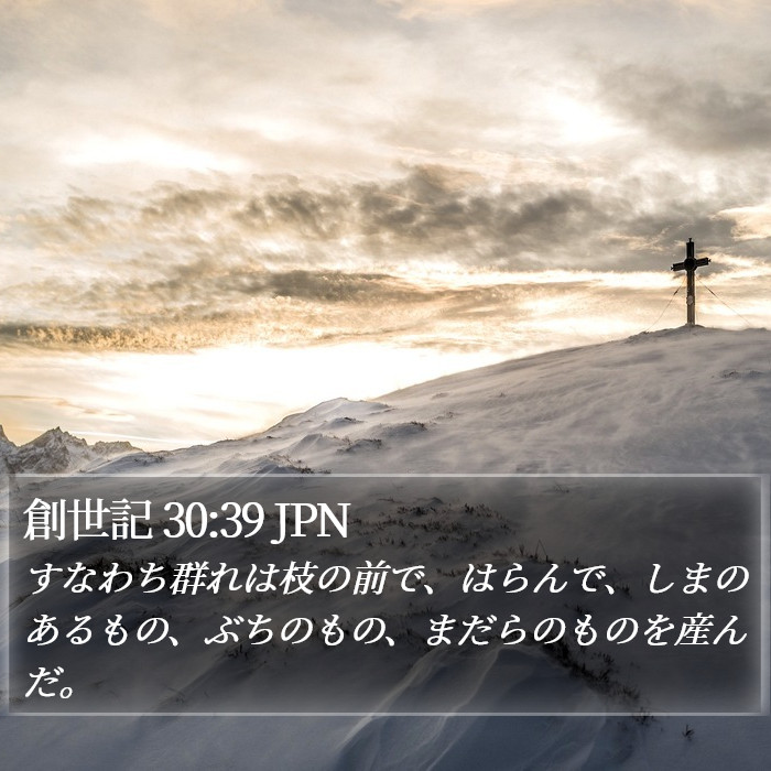 創世記 30:39 JPN Bible Study