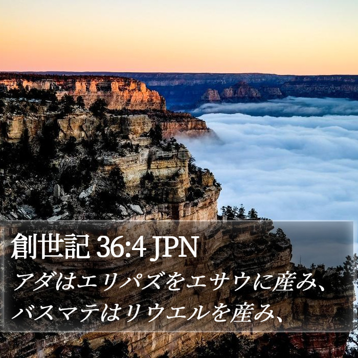 創世記 36:4 JPN Bible Study