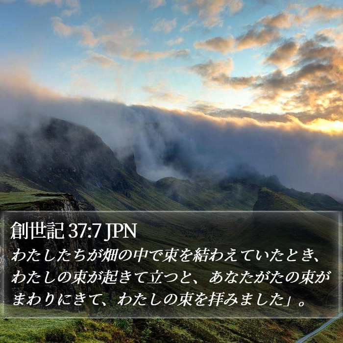 創世記 37:7 JPN Bible Study