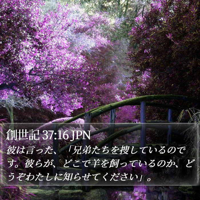 創世記 37:16 JPN Bible Study