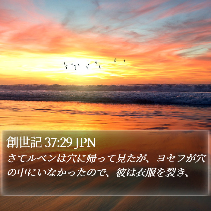 創世記 37:29 JPN Bible Study