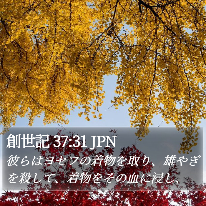 創世記 37:31 JPN Bible Study