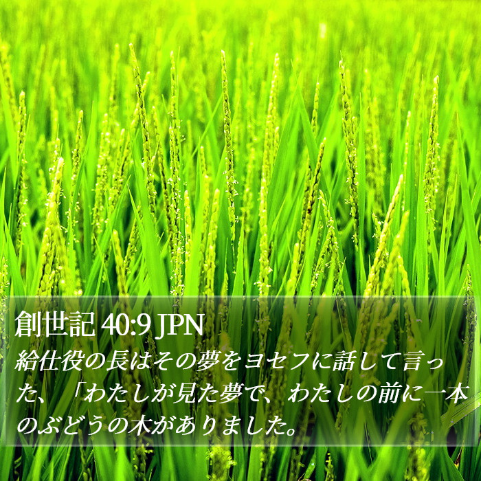 創世記 40:9 JPN Bible Study