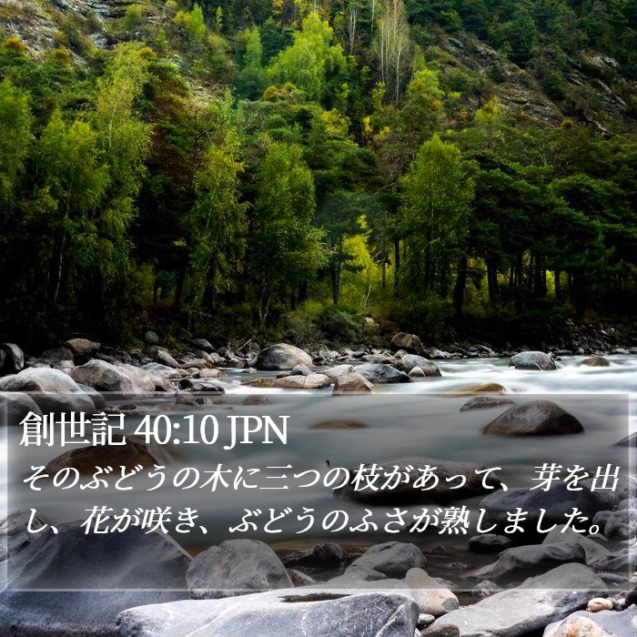 創世記 40:10 JPN Bible Study