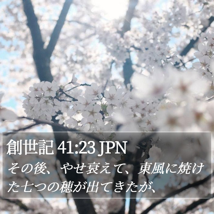 創世記 41:23 JPN Bible Study