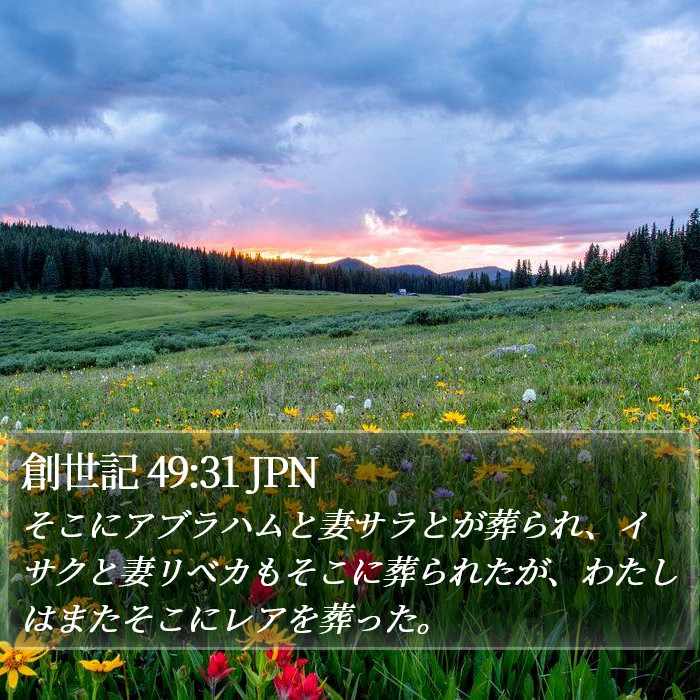 創世記 49:31 JPN Bible Study