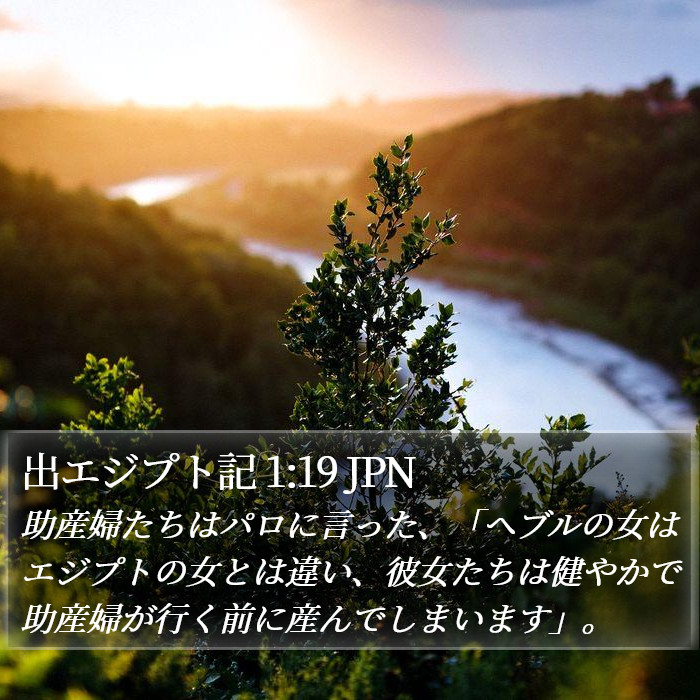 出エジプト記 1:19 JPN Bible Study