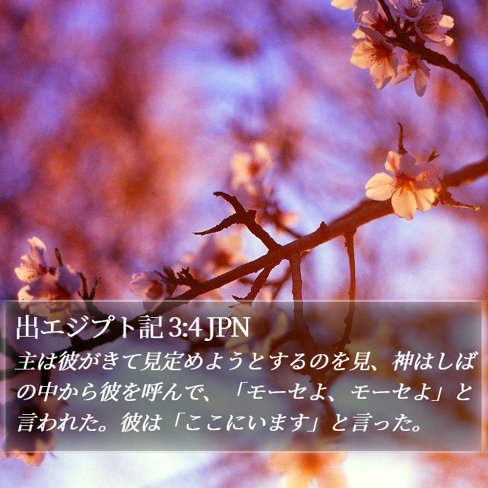 出エジプト記 3:4 JPN Bible Study