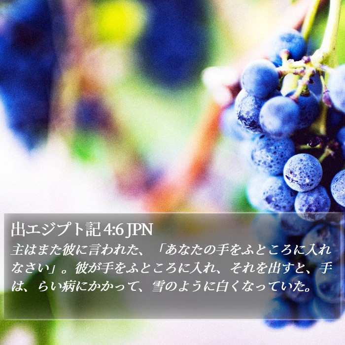 出エジプト記 4:6 JPN Bible Study