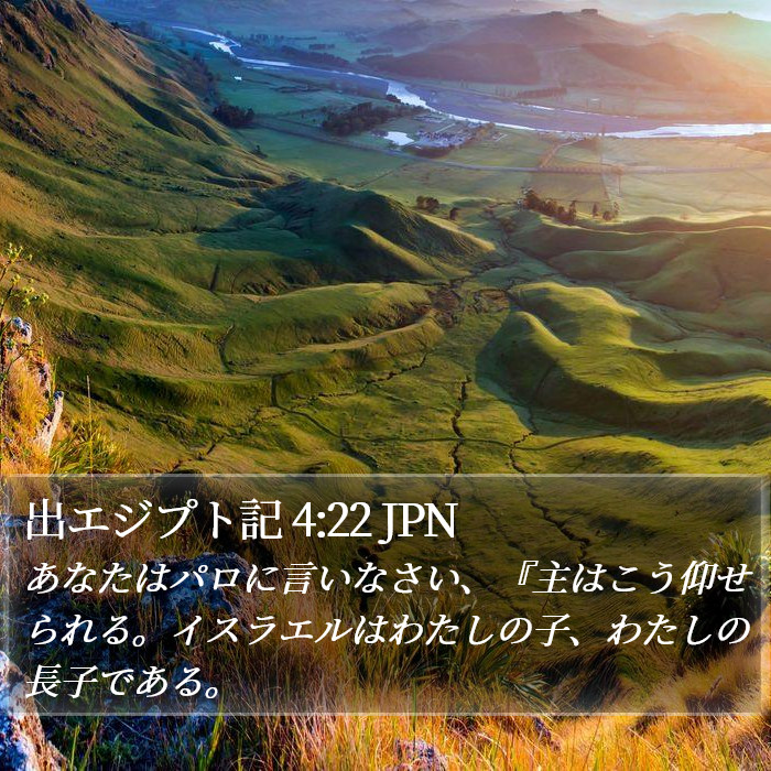 出エジプト記 4:22 JPN Bible Study