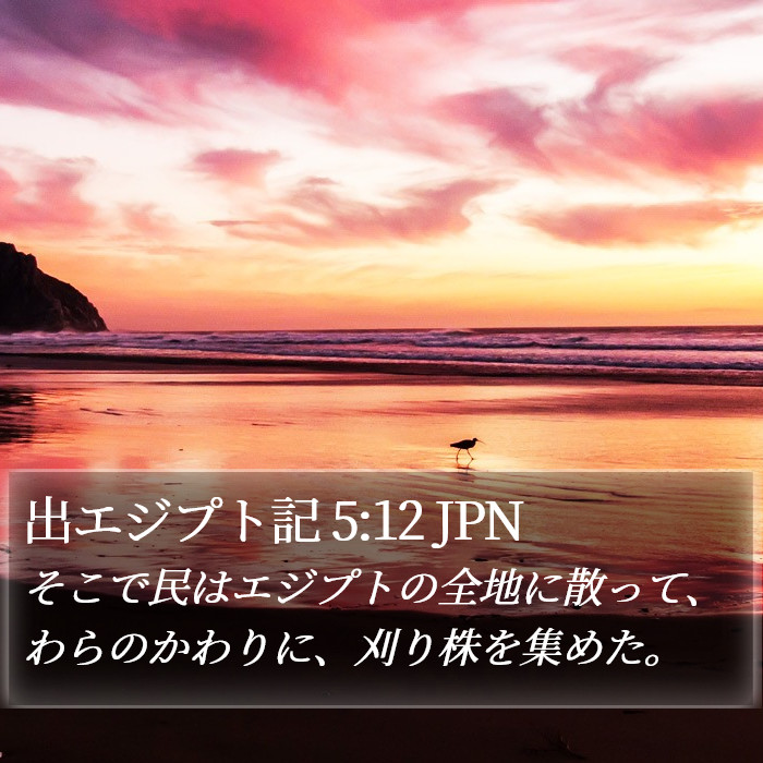 出エジプト記 5:12 JPN Bible Study