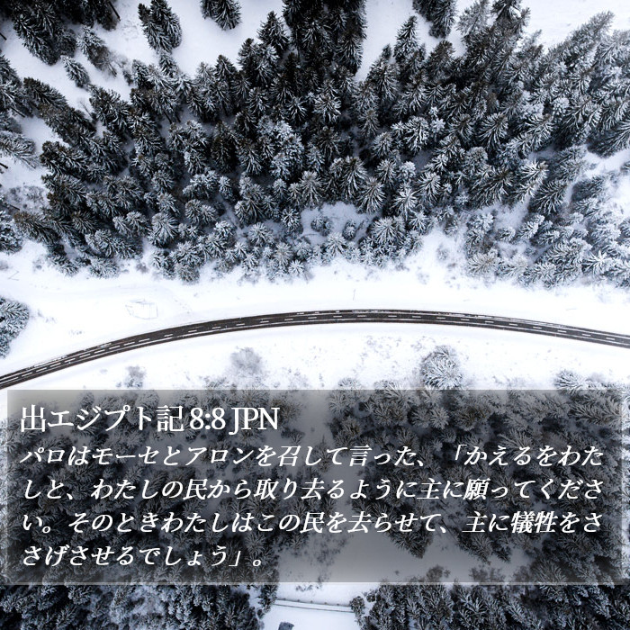 出エジプト記 8:8 JPN Bible Study