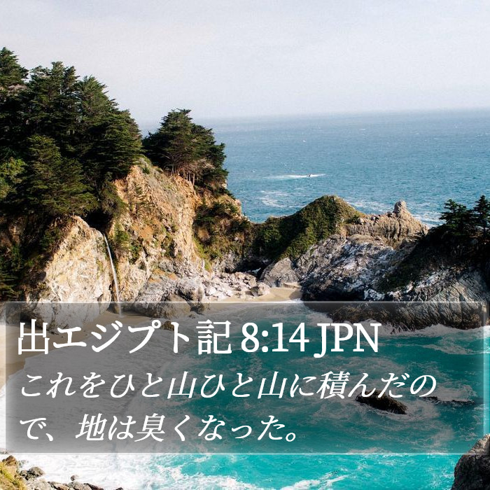 出エジプト記 8:14 JPN Bible Study