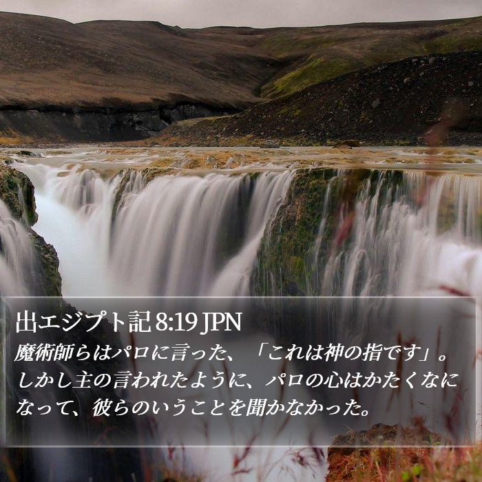 出エジプト記 8:19 JPN Bible Study