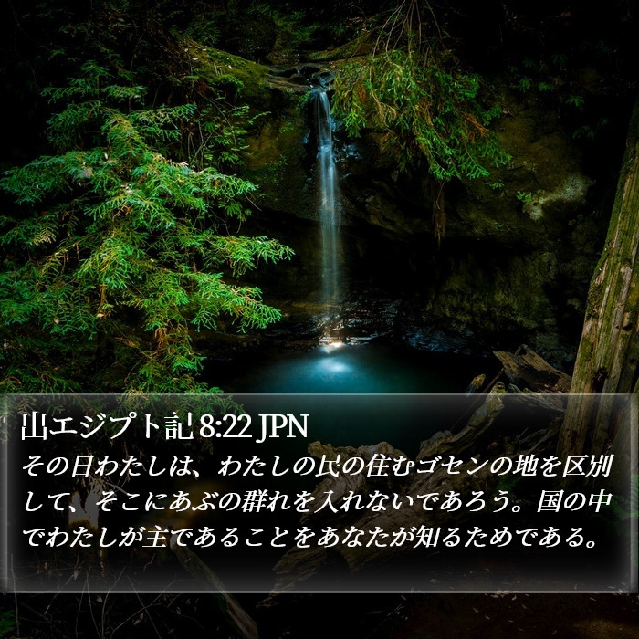 出エジプト記 8:22 JPN Bible Study