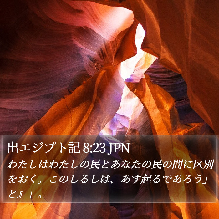 出エジプト記 8:23 JPN Bible Study