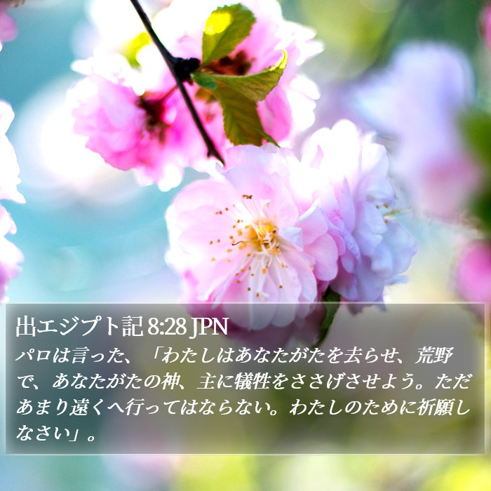 出エジプト記 8:28 JPN Bible Study