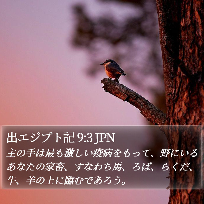 出エジプト記 9:3 JPN Bible Study