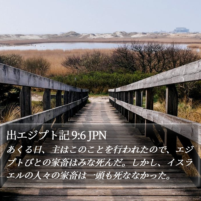 出エジプト記 9:6 JPN Bible Study