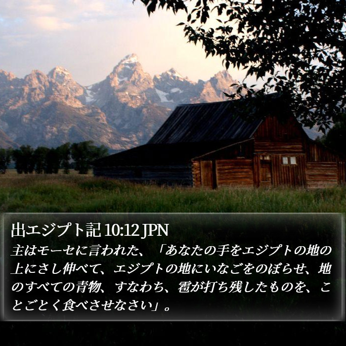 出エジプト記 10:12 JPN Bible Study