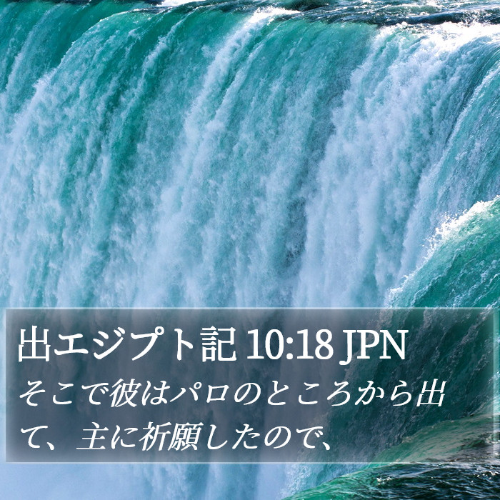 出エジプト記 10:18 JPN Bible Study