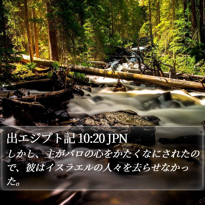 出エジプト記 10:20 JPN Bible Study