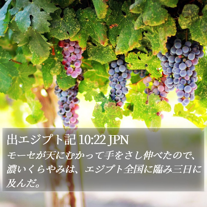 出エジプト記 10:22 JPN Bible Study