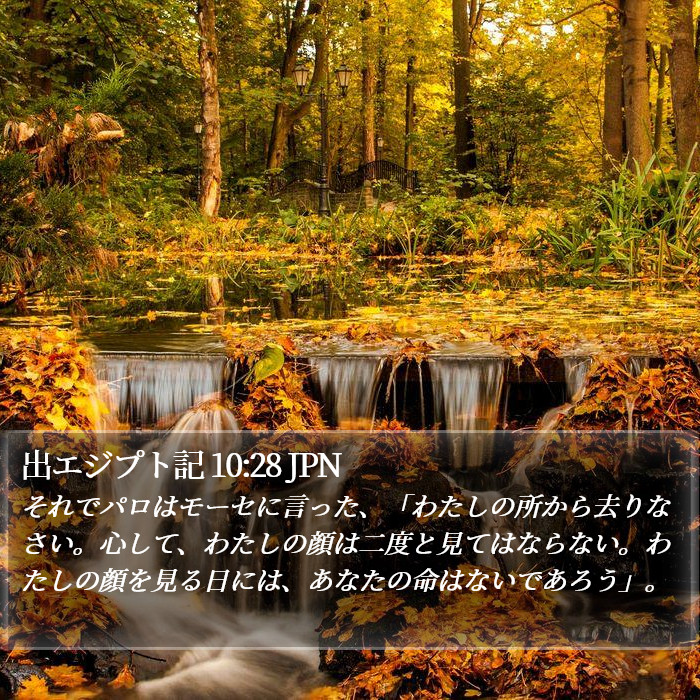 出エジプト記 10:28 JPN Bible Study