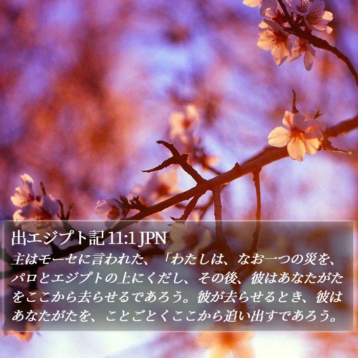 出エジプト記 11:1 JPN Bible Study