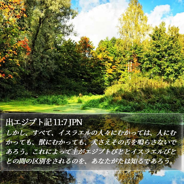 出エジプト記 11:7 JPN Bible Study