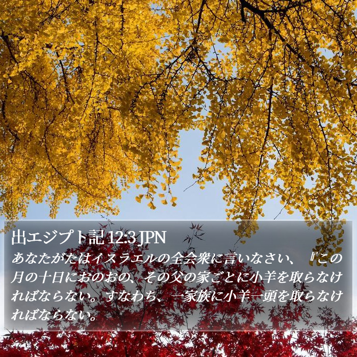 出エジプト記 12:3 JPN Bible Study