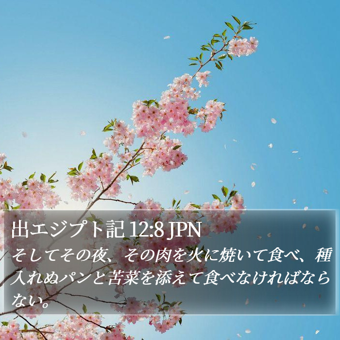 出エジプト記 12:8 JPN Bible Study