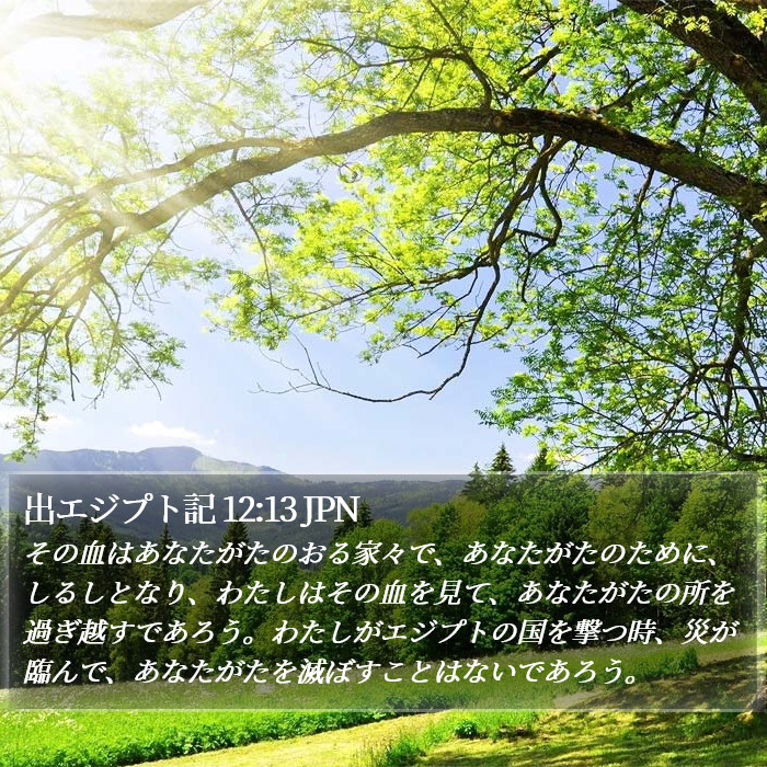 出エジプト記 12:13 JPN Bible Study