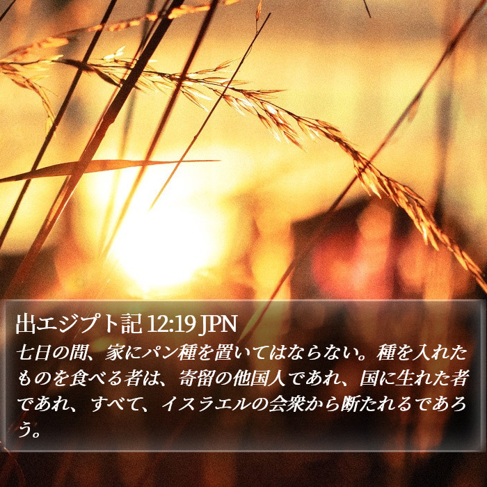 出エジプト記 12:19 JPN Bible Study