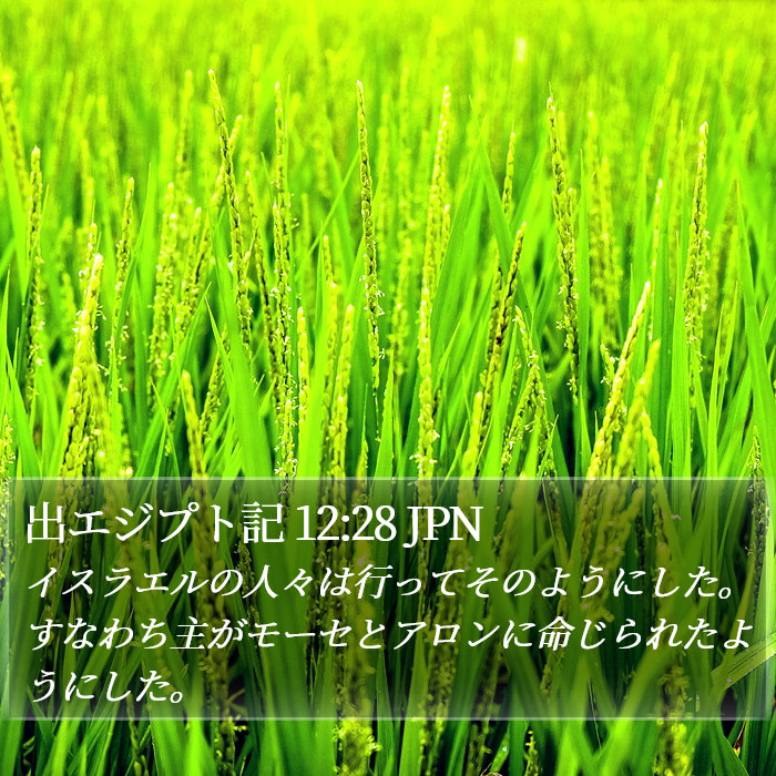 出エジプト記 12:28 JPN Bible Study