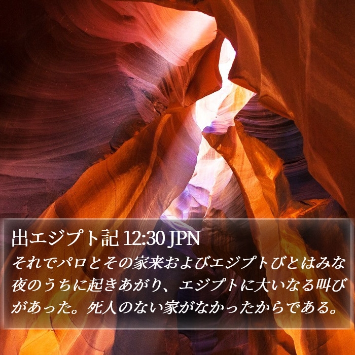 出エジプト記 12:30 JPN Bible Study