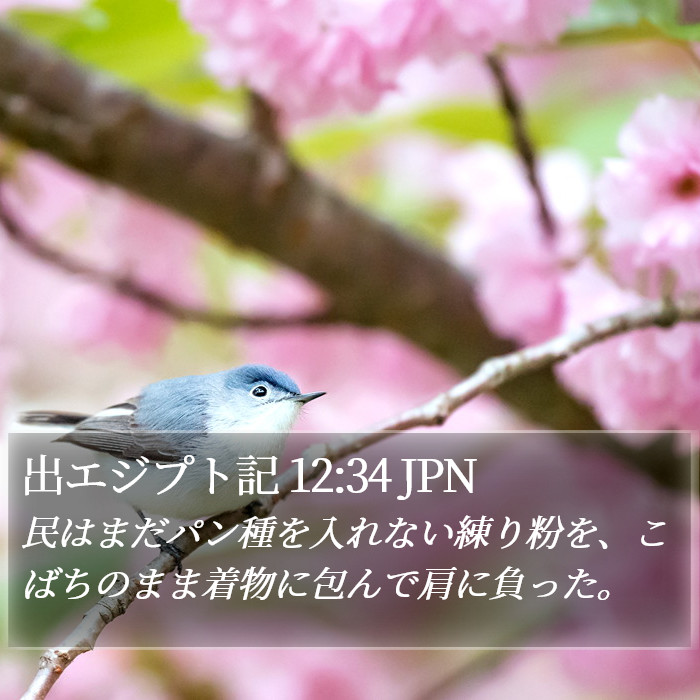 出エジプト記 12:34 JPN Bible Study