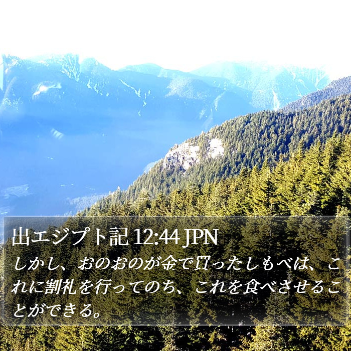 出エジプト記 12:44 JPN Bible Study