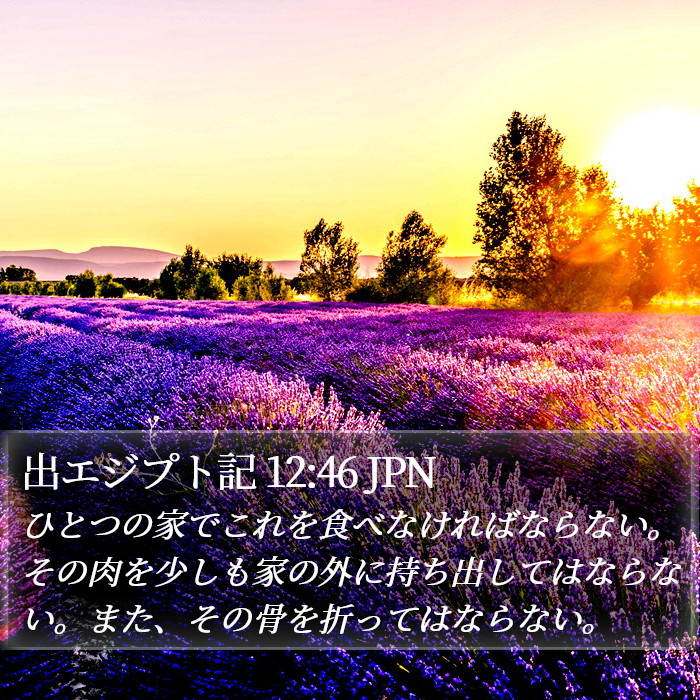 出エジプト記 12:46 JPN Bible Study