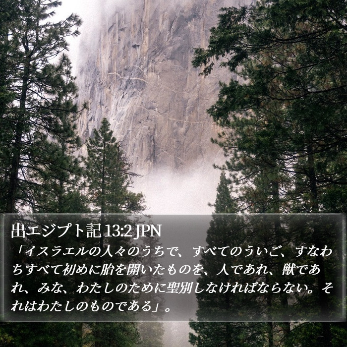 出エジプト記 13:2 JPN Bible Study